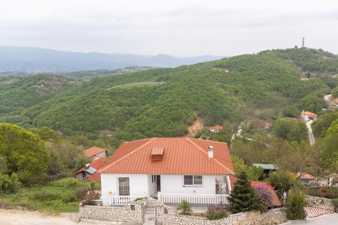 Vista De Montana Meteora II Villa Vlachava Dış mekan fotoğraf